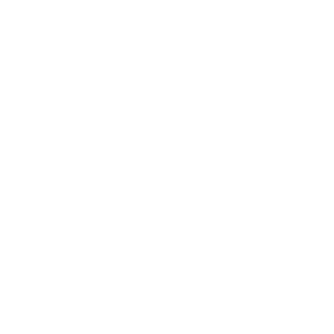 White Dashed Ring Image